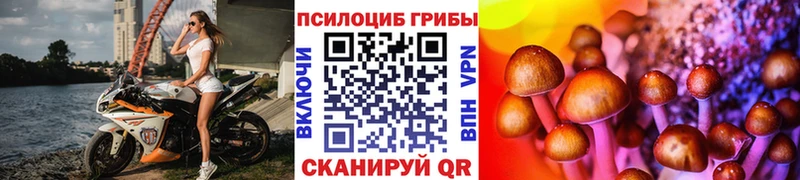 Галлюциногенные грибы Cubensis Мыски